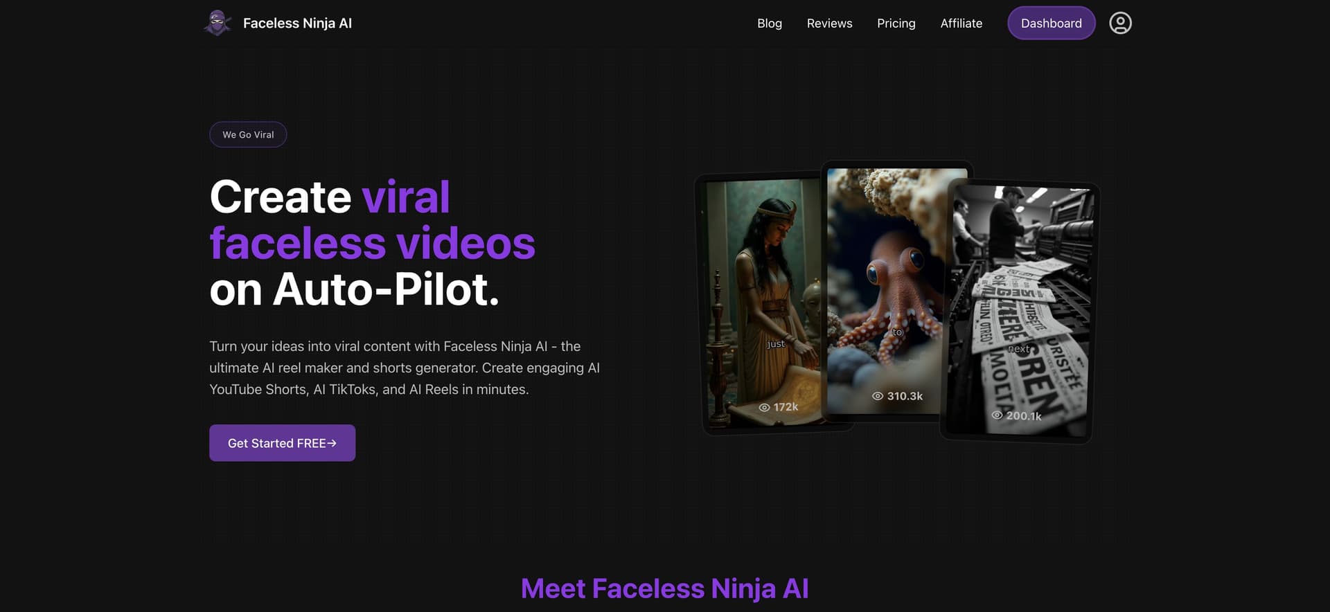 Faceless Ninja AI interface screenshot